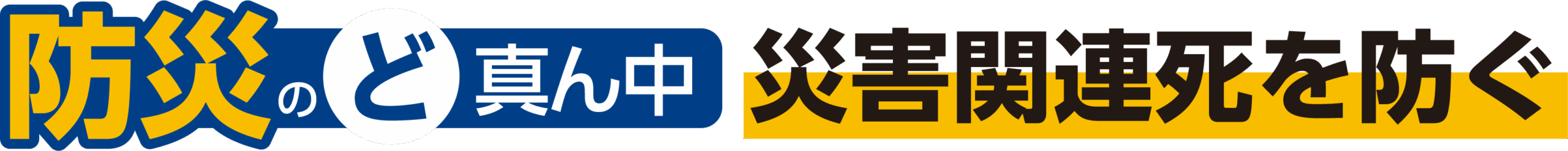 水野孝一　防災