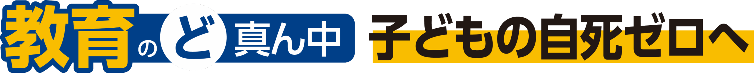 水野孝一　教育